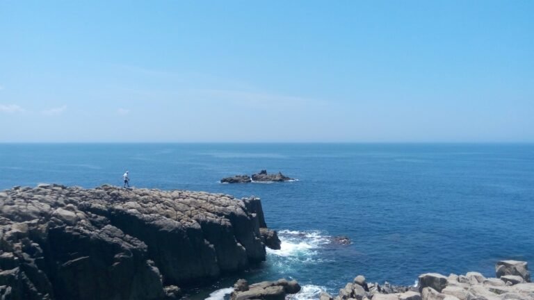 person standing on top of gray stone formation near sea at daytime