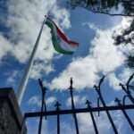a flag on a pole