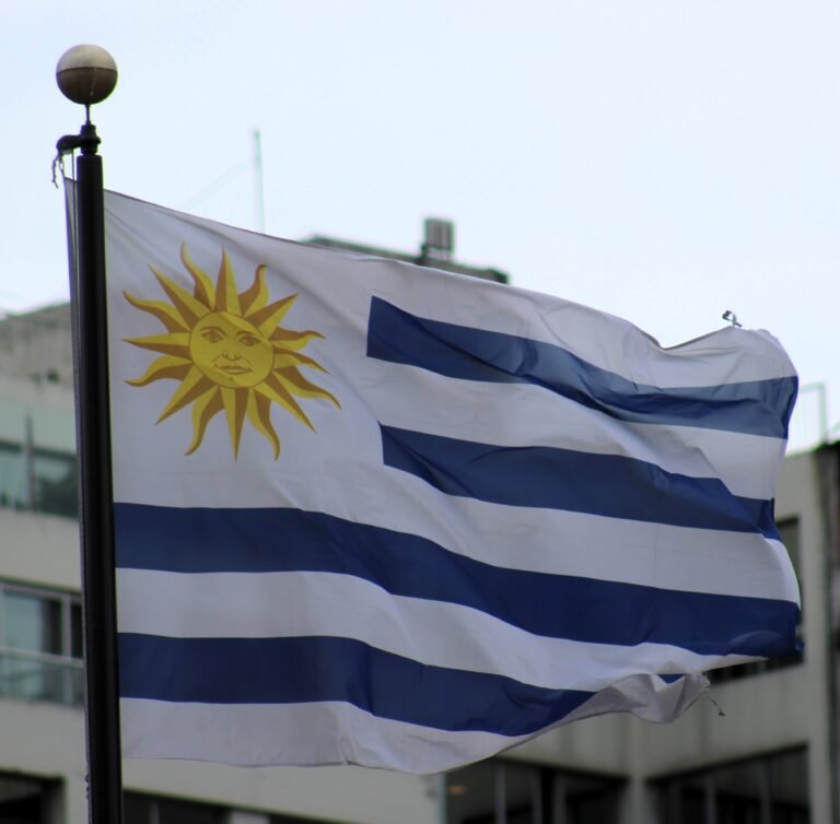 Bandeira_do_Uruguai_no_centro_de_Montevideu_em_novembro_de_2023_5