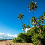 Tourism photo: Nordeste, Brasil - praia