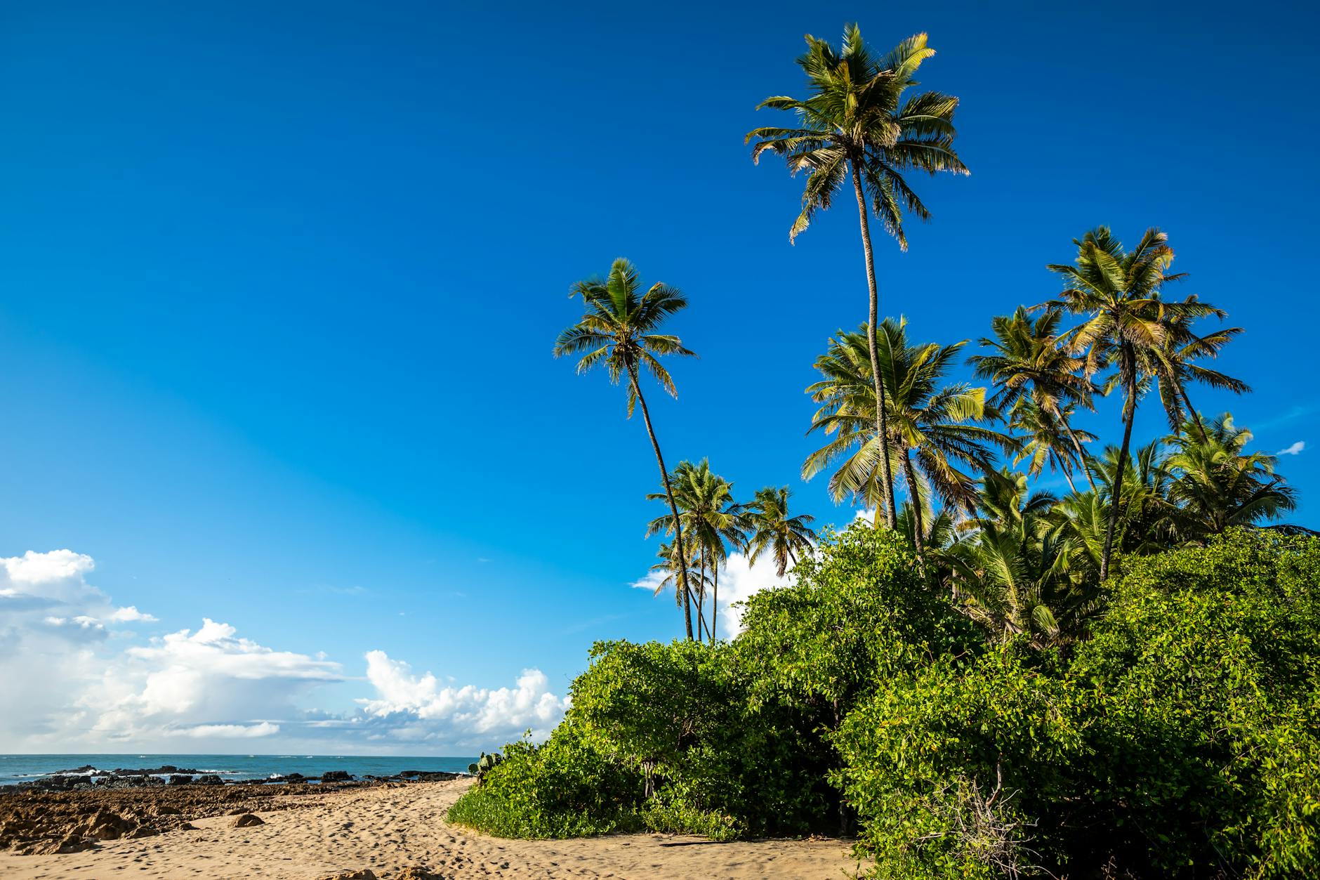 Tourism photo: Nordeste, Brasil - praia